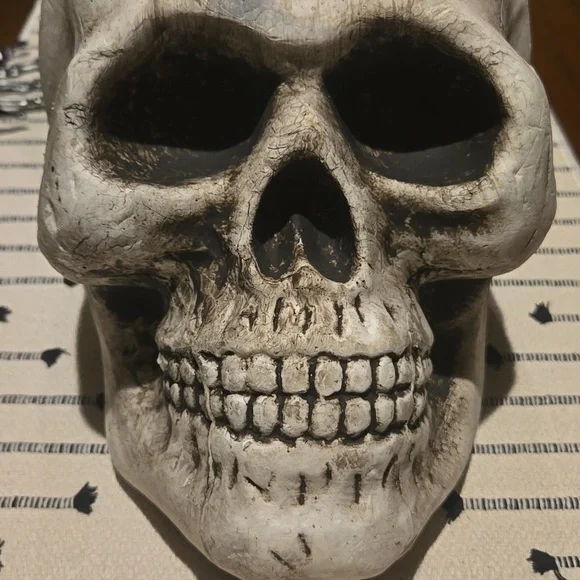 Halloween Skull - Picture 2 of 6